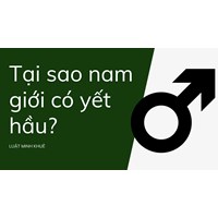 Tại sao nam giới có yết hầu?