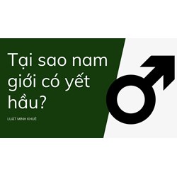 Tại sao nam giới có yết hầu?