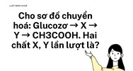 Cho sơ đồ chuyển hoá: Glucozơ → X → Y → CH3COOH. Hai chất X, Y lần lượt là?
