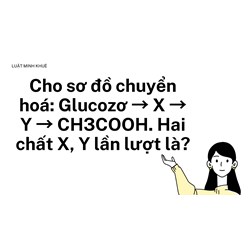 Cho sơ đồ chuyển hoá: Glucozơ → X → Y → CH3COOH. Hai chất X, Y lần lượt là?