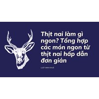 Thịt nai làm gì ngon? Tổng hợp các món ngon từ thịt nai hấp dẫn đơn giản