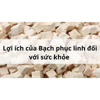 Lợi ích của Bạch phục linh đối với sức khỏe