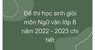 Đề thi học sinh giỏi môn Ngữ văn lớp 8 chi tiết nhất