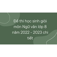 Đề thi học sinh giỏi môn Ngữ văn lớp 8 chi tiết nhất