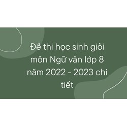 Đề thi học sinh giỏi môn Ngữ văn lớp 8 chi tiết nhất