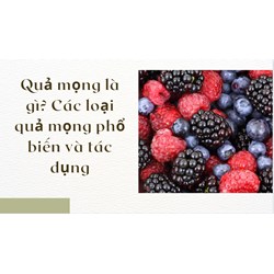Quả mọng là gì? Các loại quả mọng phổ biến và tác dụng