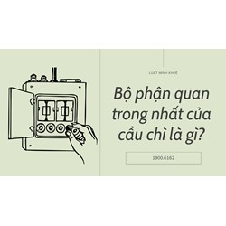 Bộ phận quan trong nhất của cầu chì là gì?