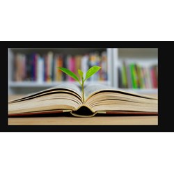 Cách soạn bài Nghị luận về một vấn đề tư tưởng, đạo lí