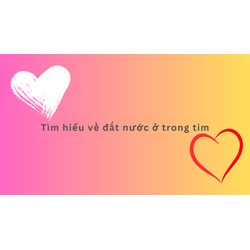 Tìm hiểu về đất nước ở trong tim