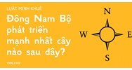 Đông Nam Bộ phát triển mạnh nhất cây nào sau đây?