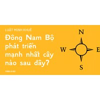 Đông Nam Bộ phát triển mạnh nhất cây nào sau đây?