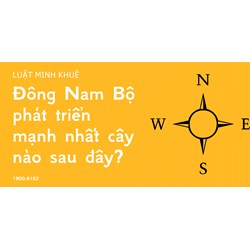 Đông Nam Bộ phát triển mạnh nhất cây nào sau đây?