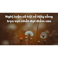 Nghị luận xã hội về Hãy sống trọn vẹn nhất đạt điểm cao