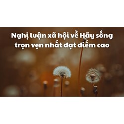 Nghị luận xã hội về Hãy sống trọn vẹn nhất đạt điểm cao