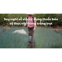 Suy nghĩ về việc sử dụng thuốc bảo vệ thực vật trong trồng trọt