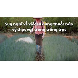 Suy nghĩ về việc sử dụng thuốc bảo vệ thực vật trong trồng trọt