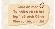 Giáo án môn Tự nhiên và xã hội lớp 1 sách Cánh Diều chi tiết