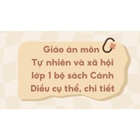 Giáo án môn Tự nhiên và xã hội lớp 1 sách Cánh Diều chi tiết