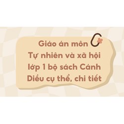 Giáo án môn Tự nhiên và xã hội lớp 1 sách Cánh Diều chi tiết