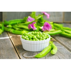 Lợi ích của đậu Hà Lan, lưu ý khi ăn và các món ăn từ đậu Hà Lan