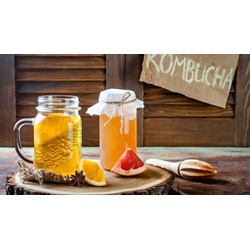 Trà Kombucha có chứa cồn hay  không?