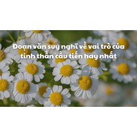 Đoạn văn suy nghĩ về vai trò của tinh thần cầu tiến hay nhất