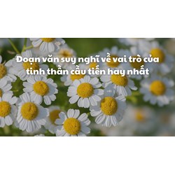 Đoạn văn suy nghĩ về vai trò của tinh thần cầu tiến hay nhất