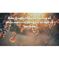 Dàn ý nghị luận Cứ hướng về phía mặt trời bóng tối sẽ ngả về sau bạn
