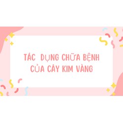 Tác  dụng chữa bệnh của cây kim vàng