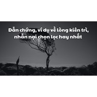 Dẫn chứng, ví dụ về lòng kiên trì, nhẫn nại chọn lọc hay nhất
