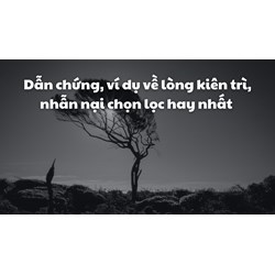 Dẫn chứng, ví dụ về lòng kiên trì, nhẫn nại chọn lọc hay nhất