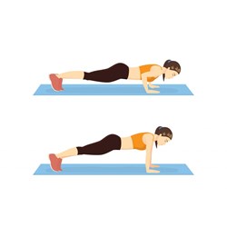 Hít đất giảm bao nhiêu calo và có giảm cân, giảm mỡ được không?