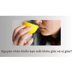 Nguyên nhân khiến bạn mất khứu giác và vị giác?