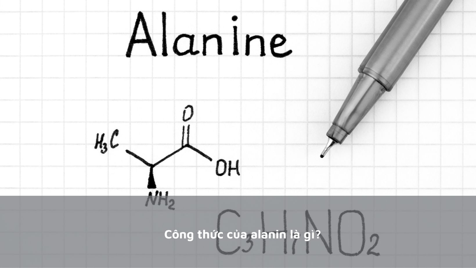 Công Thức Alanin: Khám Phá Cấu Trúc và Ứng Dụng Hóa Học