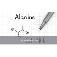 Công thức của alanin là gì?