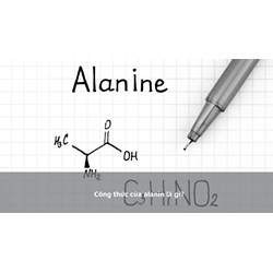 Công thức của alanin là gì?