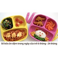 Số bữa ăn dặm trong ngày của trẻ 6 tháng - 24 tháng