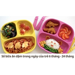 Số bữa ăn dặm trong ngày của trẻ 6 tháng - 24 tháng