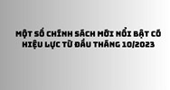 Chính sách mới về triệu hồi ô tô nhập khẩu bị lỗi kỹ thuật