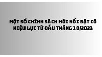 Chính sách mới về triệu hồi ô tô nhập khẩu bị lỗi kỹ thuật