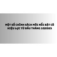 Chính sách mới về triệu hồi ô tô nhập khẩu bị lỗi kỹ thuật