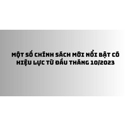 Chính sách mới về triệu hồi ô tô nhập khẩu bị lỗi kỹ thuật