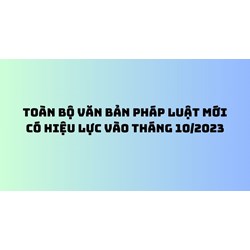 Toàn bộ văn bản về lao động, tiền lương, thuế mới có hiệu lực