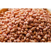 Trong lạc có bao nhiêu calo?Ăn lạc có béo không?