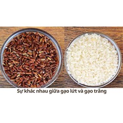 Sự khác nhau giữa gạo lứt và gạo trắng
