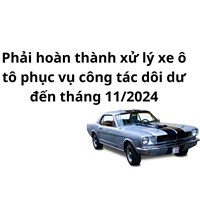 Phải hoàn thành xử lý xe ô tô phục vụ công tác dôi dư đến tháng 11/2024