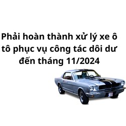 Phải hoàn thành xử lý xe ô tô phục vụ công tác dôi dư đến tháng 11/2024