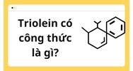 Triolein có công thức là gì?