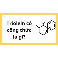 Triolein có công thức là gì?