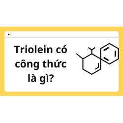 Triolein có công thức là gì?